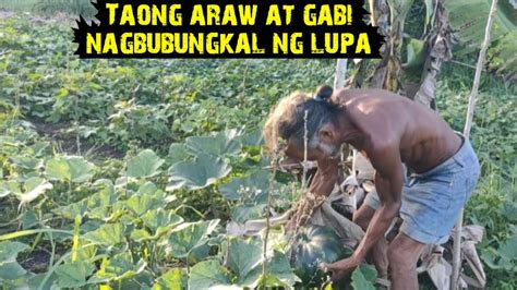 pagbubungkal in English .
